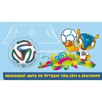 Россия почтовый блок 2014 года Чемпионат мира по футболу FIFA 2014 в Бразилии.